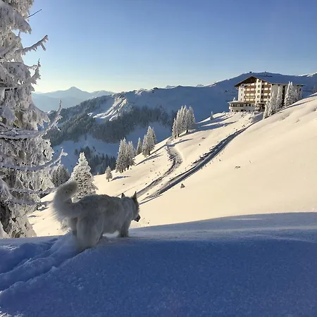 Ehrenbachhohe On Of The Mountain Hotel Kitzbühel