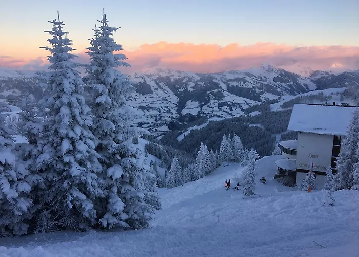 Ehrenbachhohe On Of The Mountain Hotel 4*