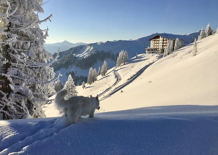 Ehrenbachhohe On Of The Mountain Hotel Kitzbühel