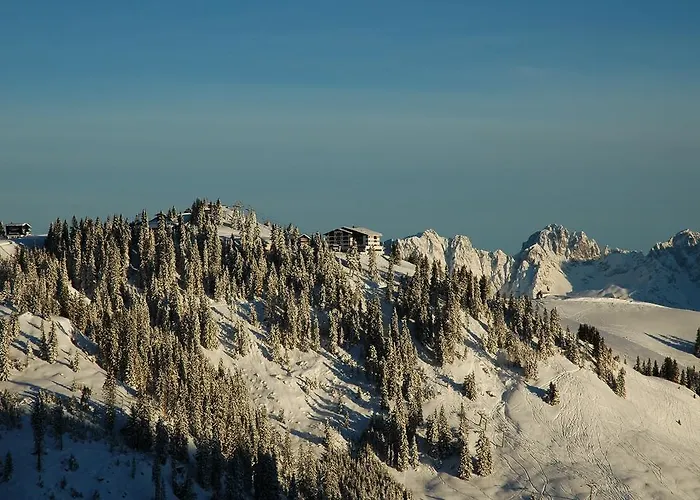 Ehrenbachhohe On Of The Mountain Kitzbühel