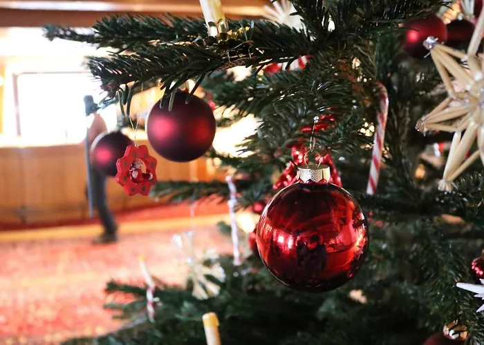 Ehrenbachhohe On Of The Mountain Kitzbühel